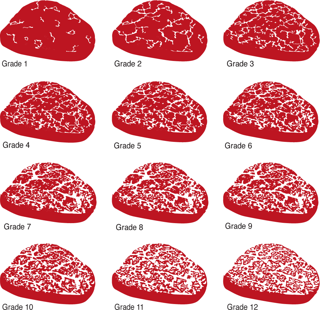 Wagyu Vs Kobe Simple KnowHow About Differentiation QUESTION JAPAN