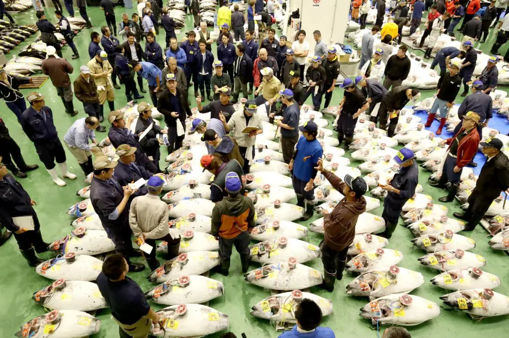 Private Tuna Auction and Tokyo Toyosu Fish Market Tour