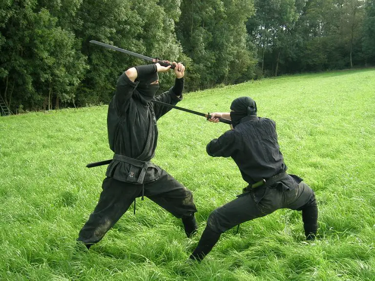 ninja vs samurai