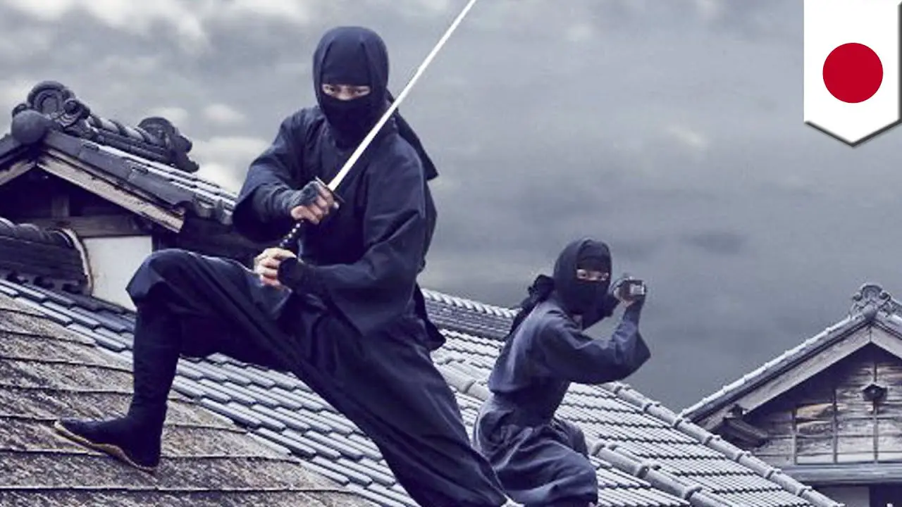 ninja vs samurai.
