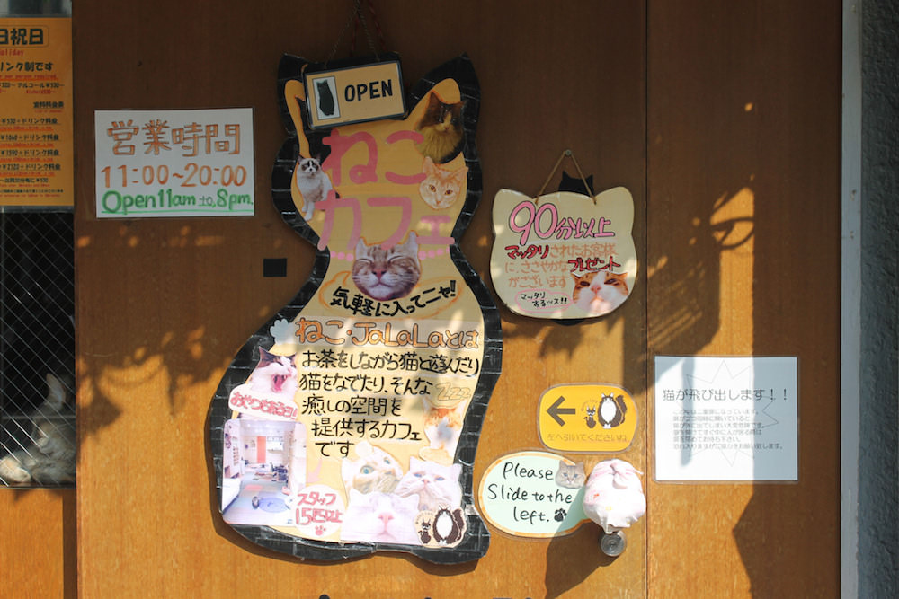 Cat cafe in Tokyo