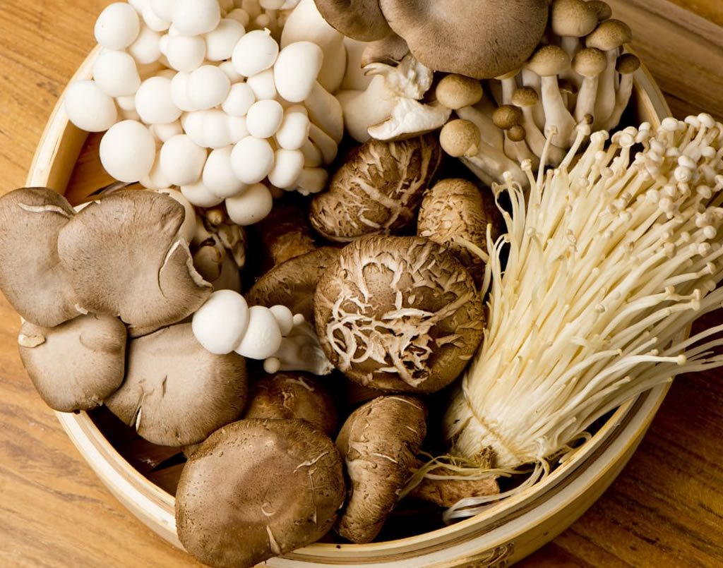 japanese mushrooms