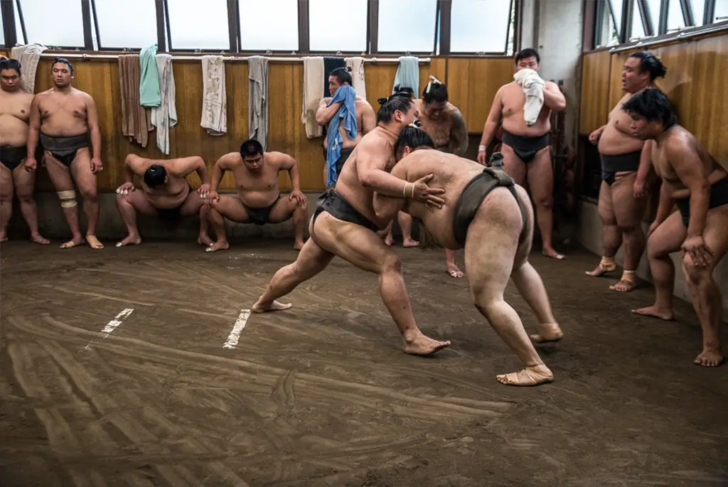 how strong are sumo wrestlers