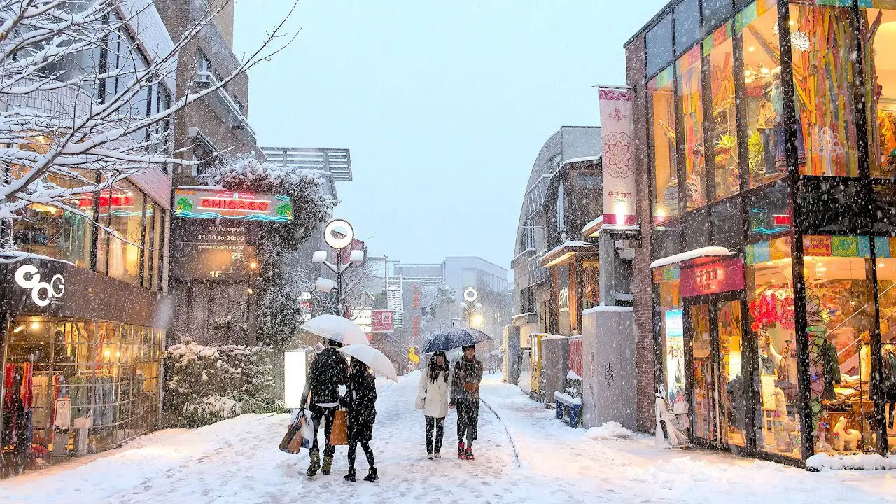 Rare snow in Tokyo blankets shrines, cancels flights