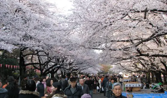 Things to do in Ueno