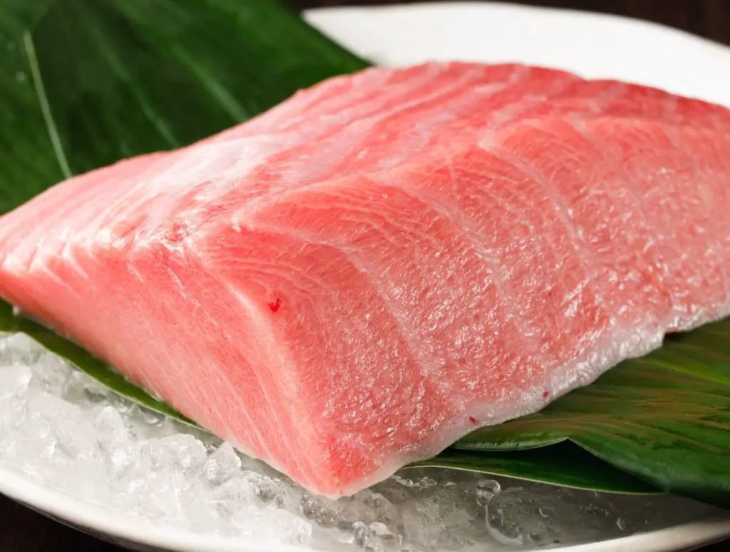 Types of tuna for sushi